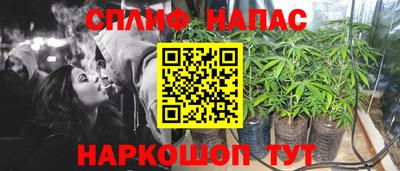 гидропоника Пушкино