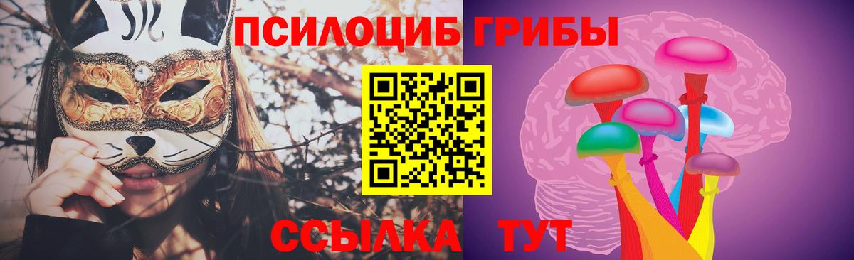 Галлюциногенные грибы MAGIC MUSHROOMS  Вход с VPN  Сыктывкар 